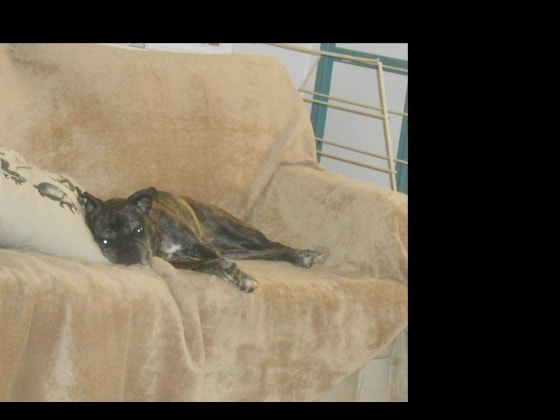 image-4