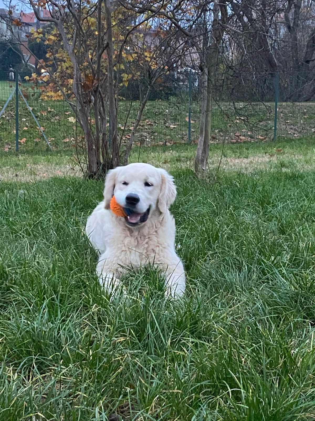 image-6
