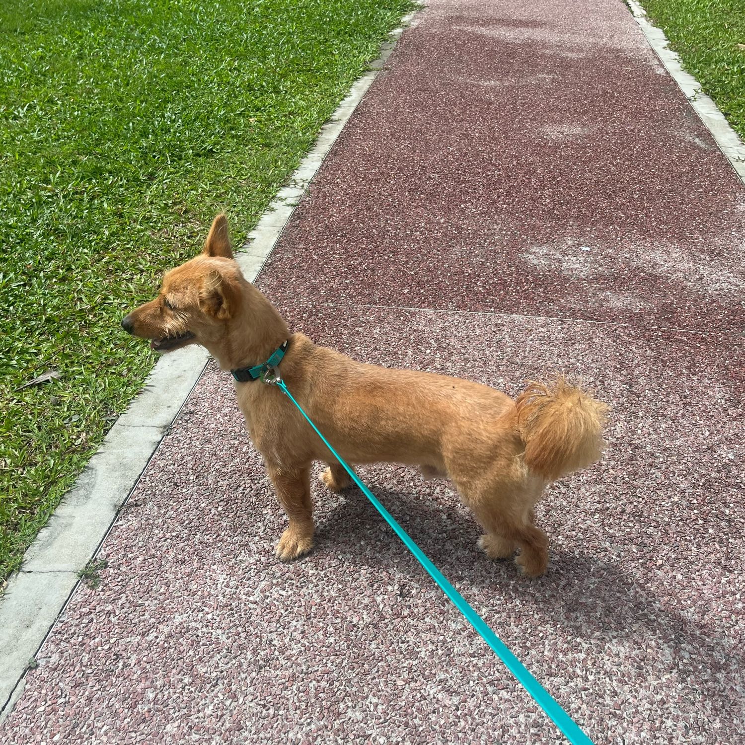 Milo