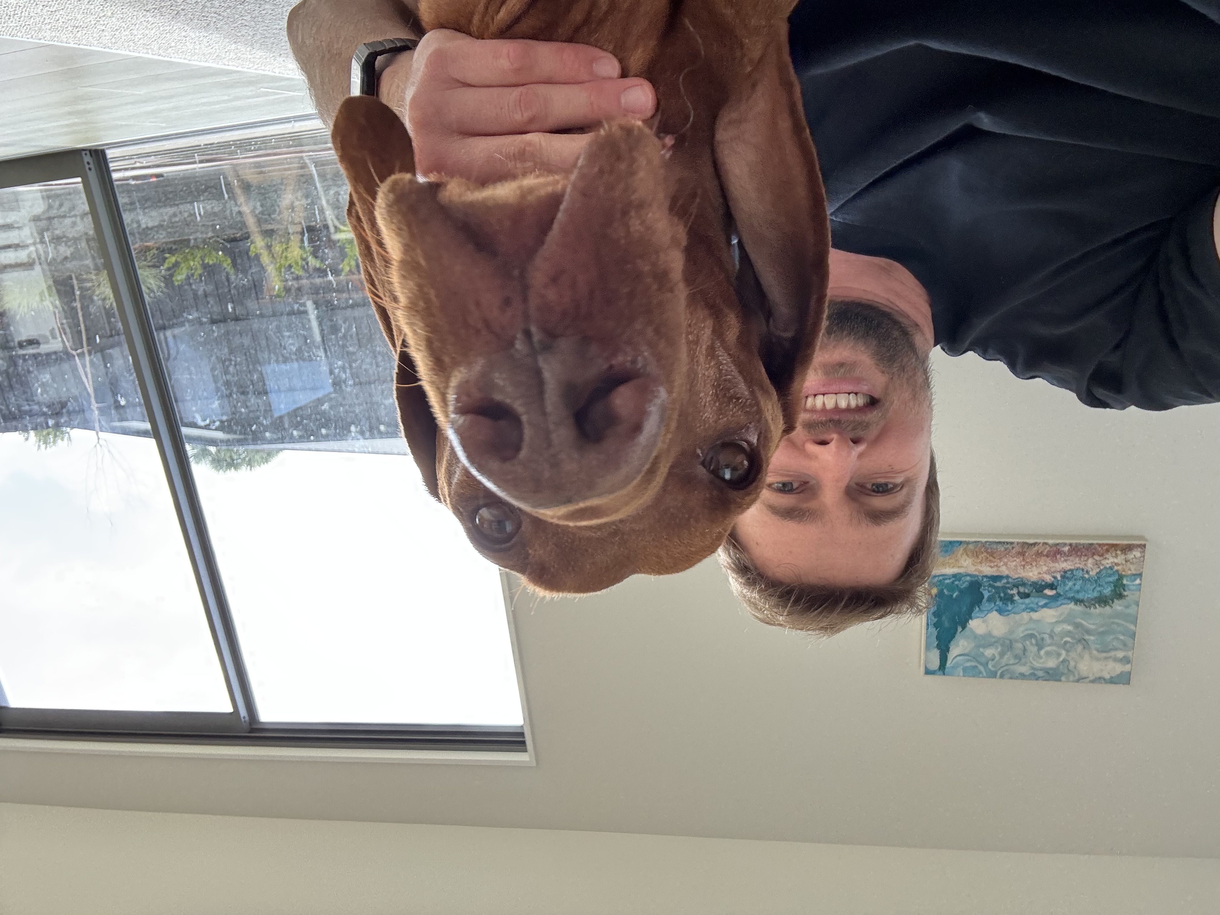 image-7