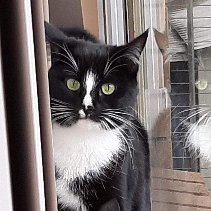 Sabrina