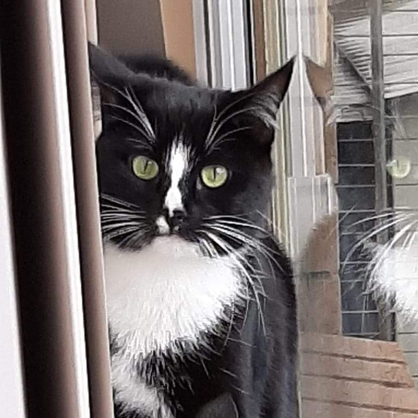 Sabrina