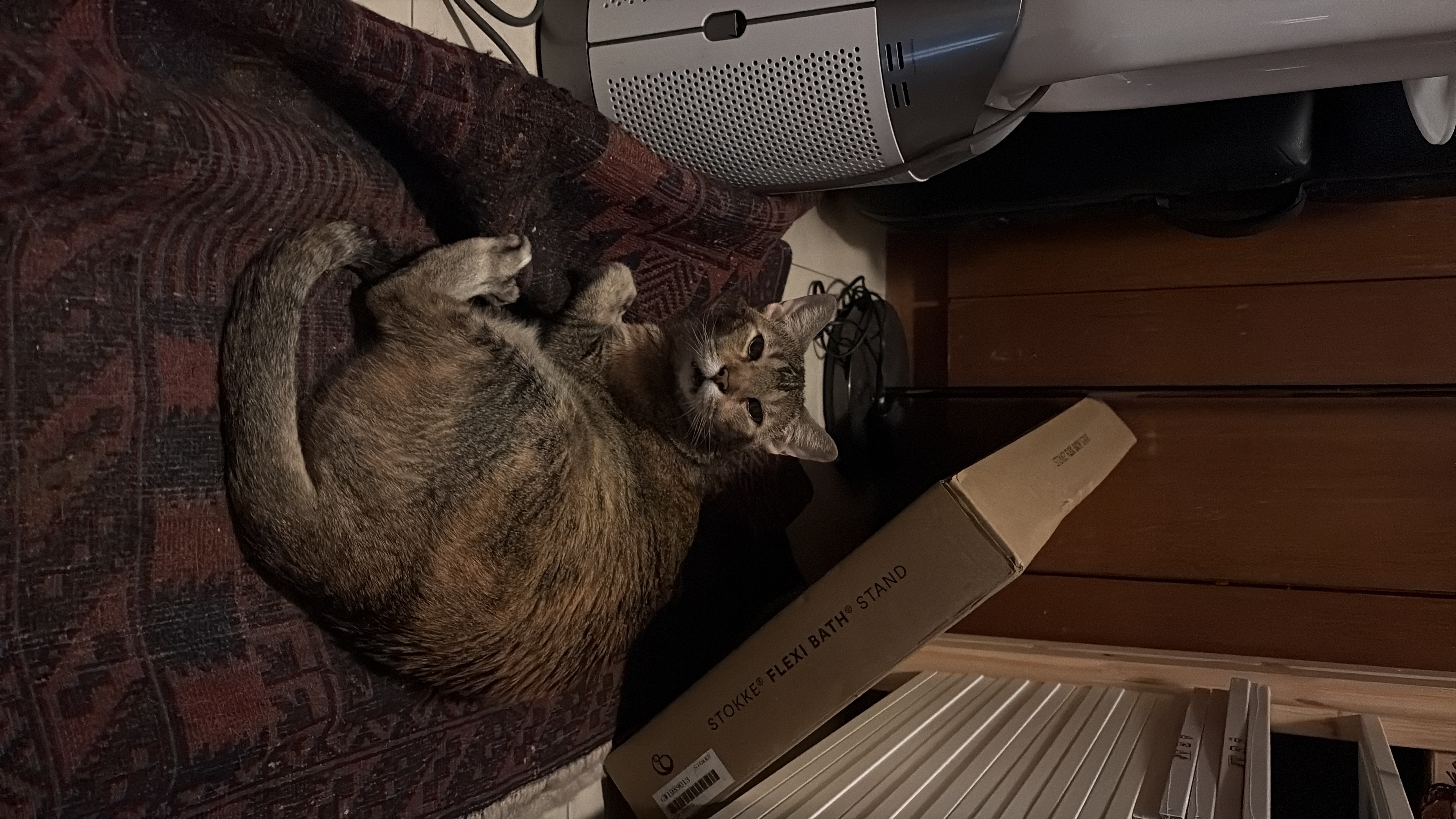 image-11