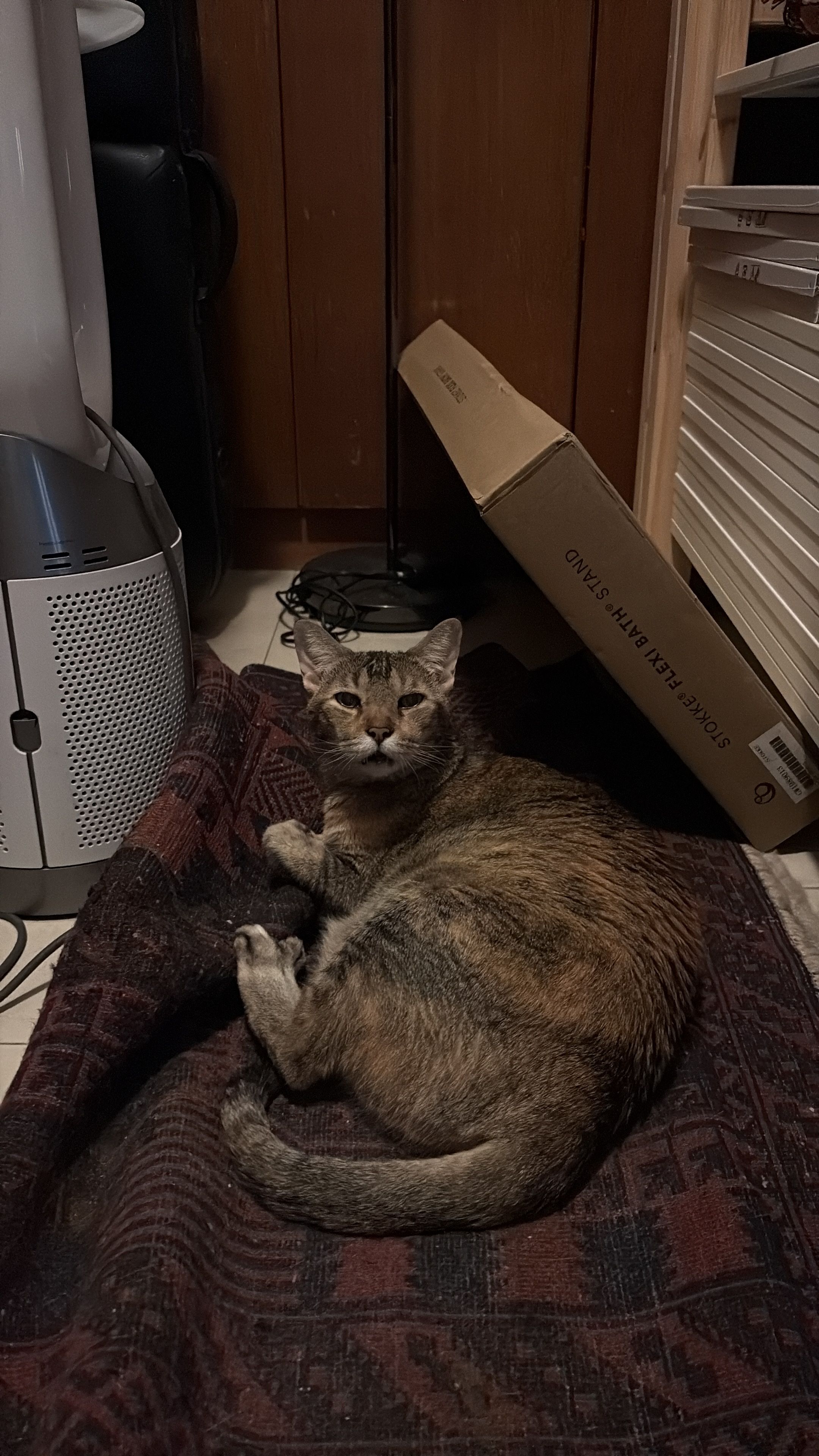 image-11