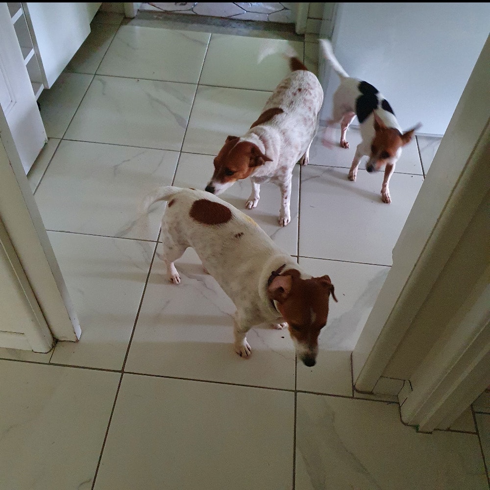 image-3