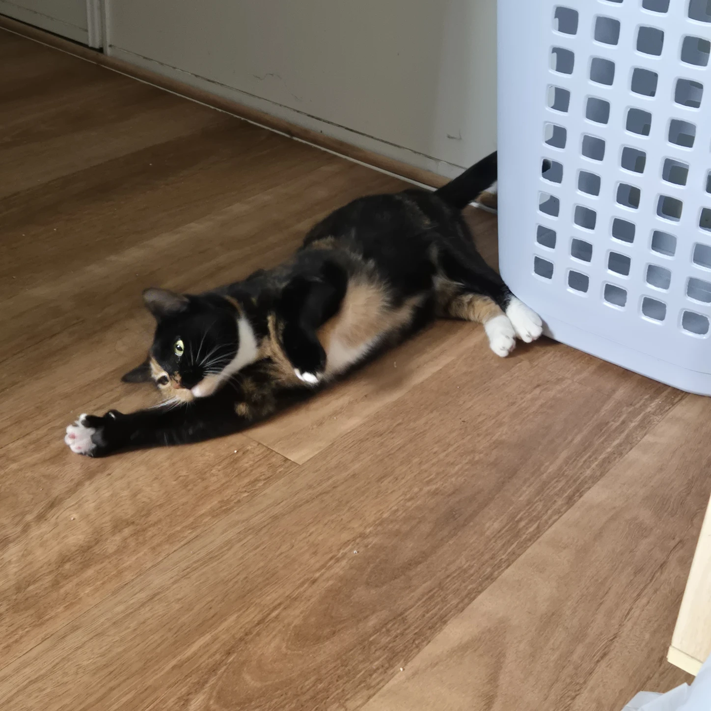 image-8