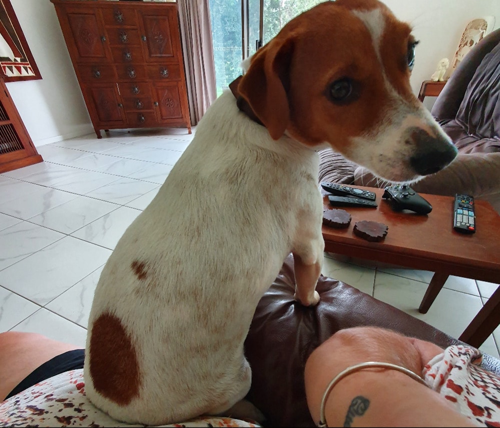 image-4