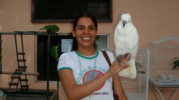 image-3