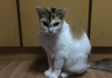 Marble