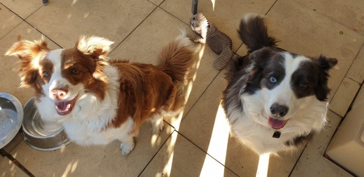 image-21