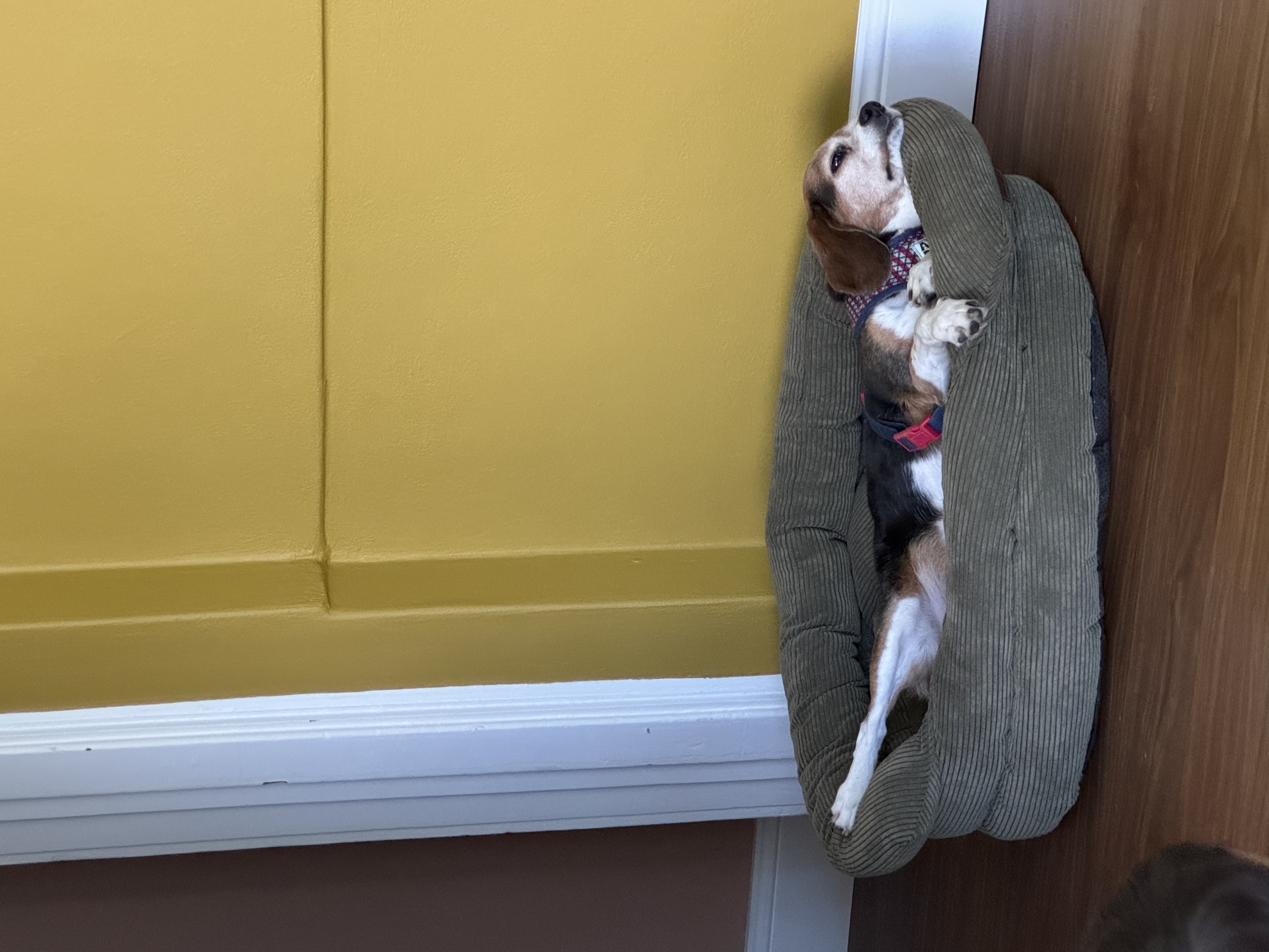 image-13