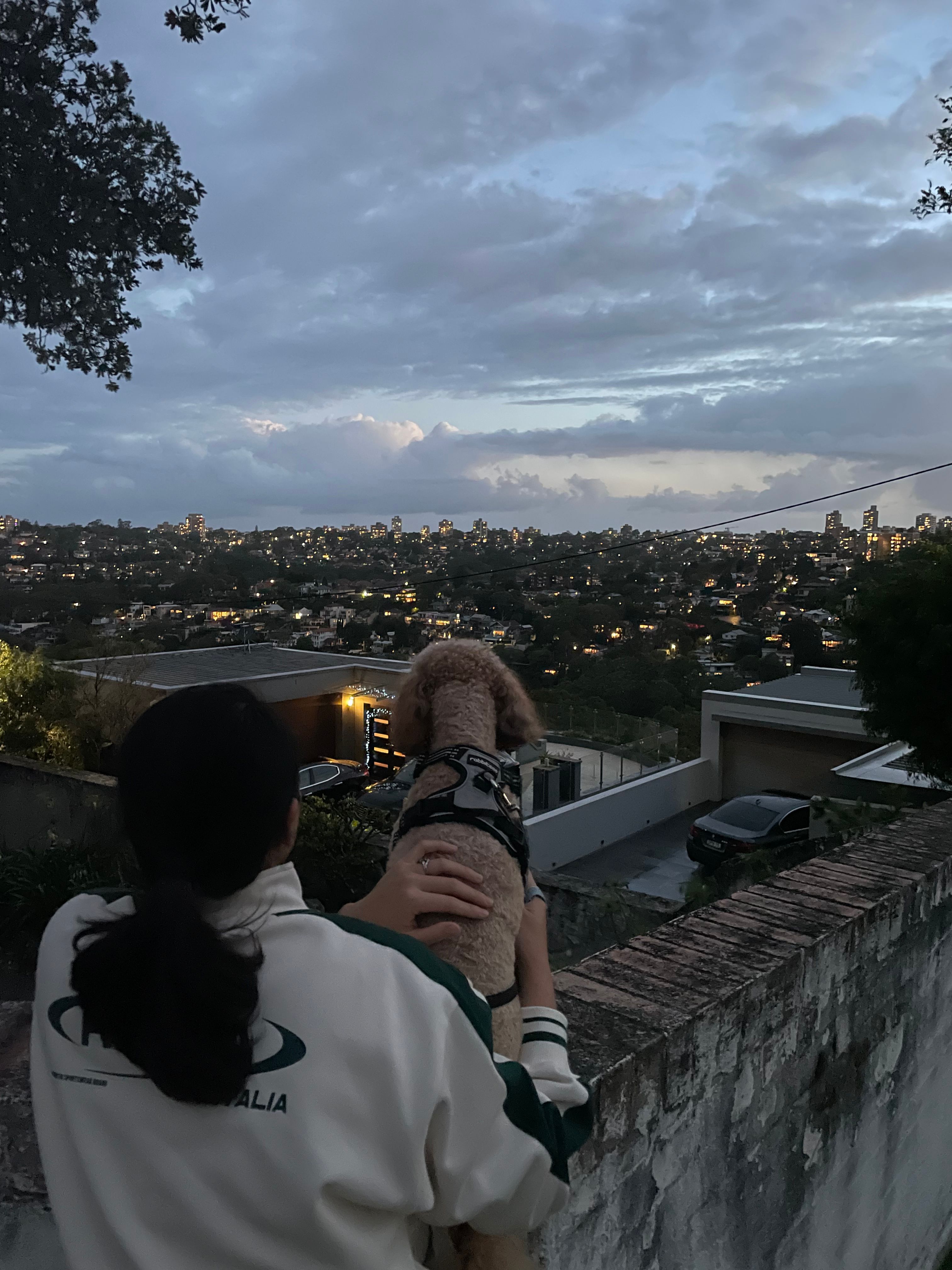 image-10