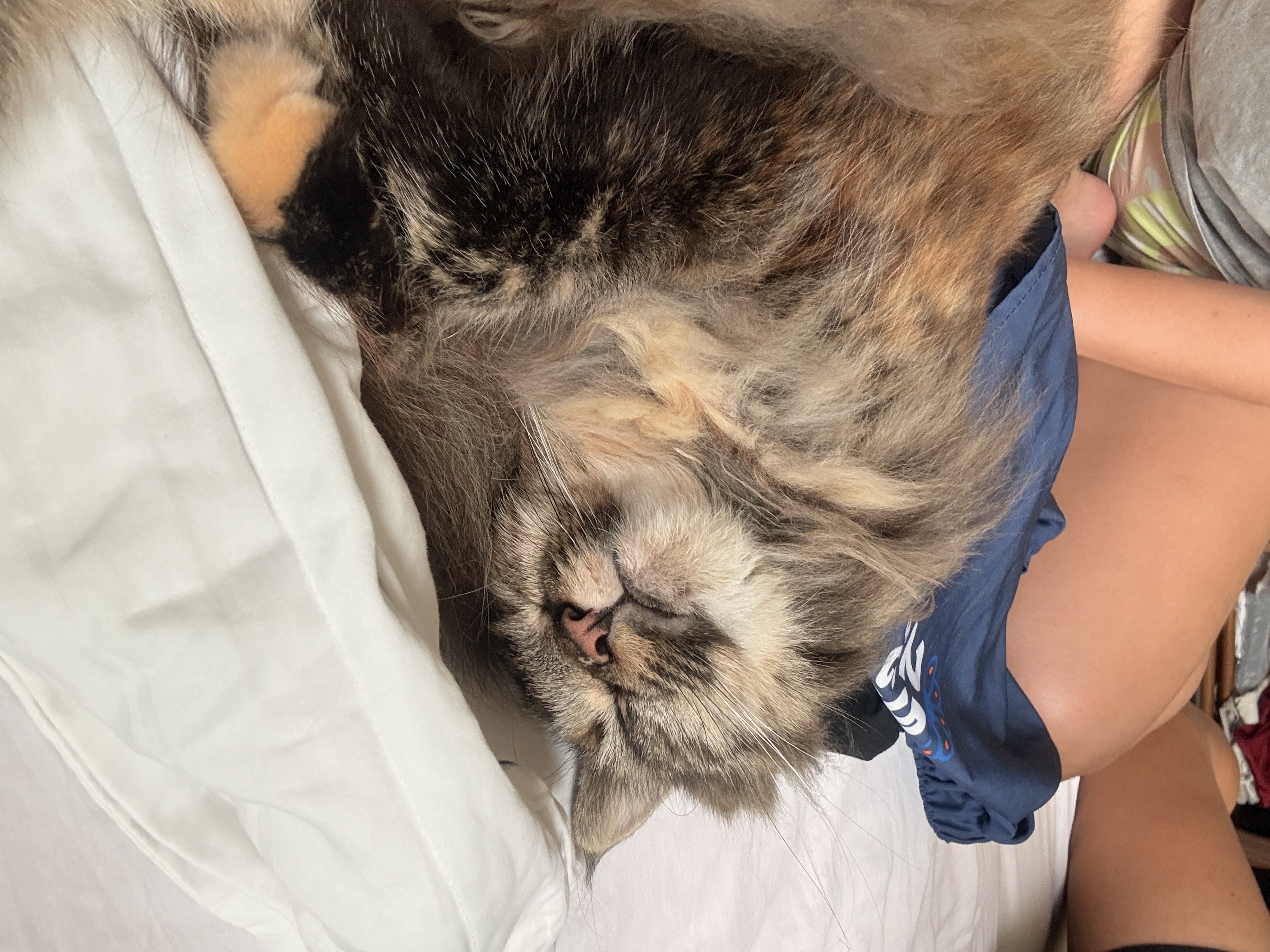 image-8