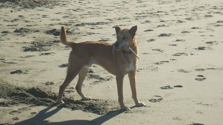 image-2