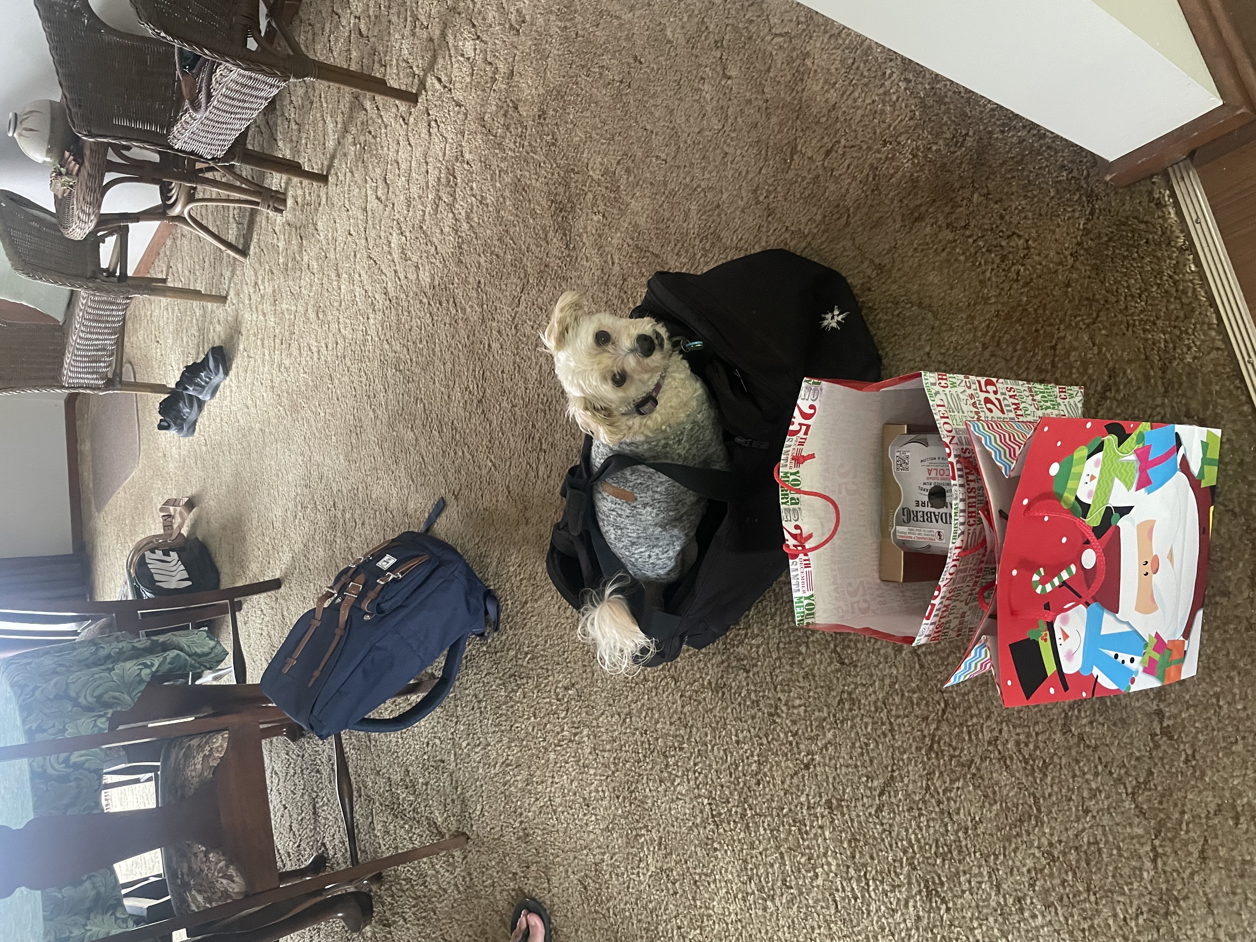image-6
