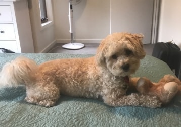 Sam