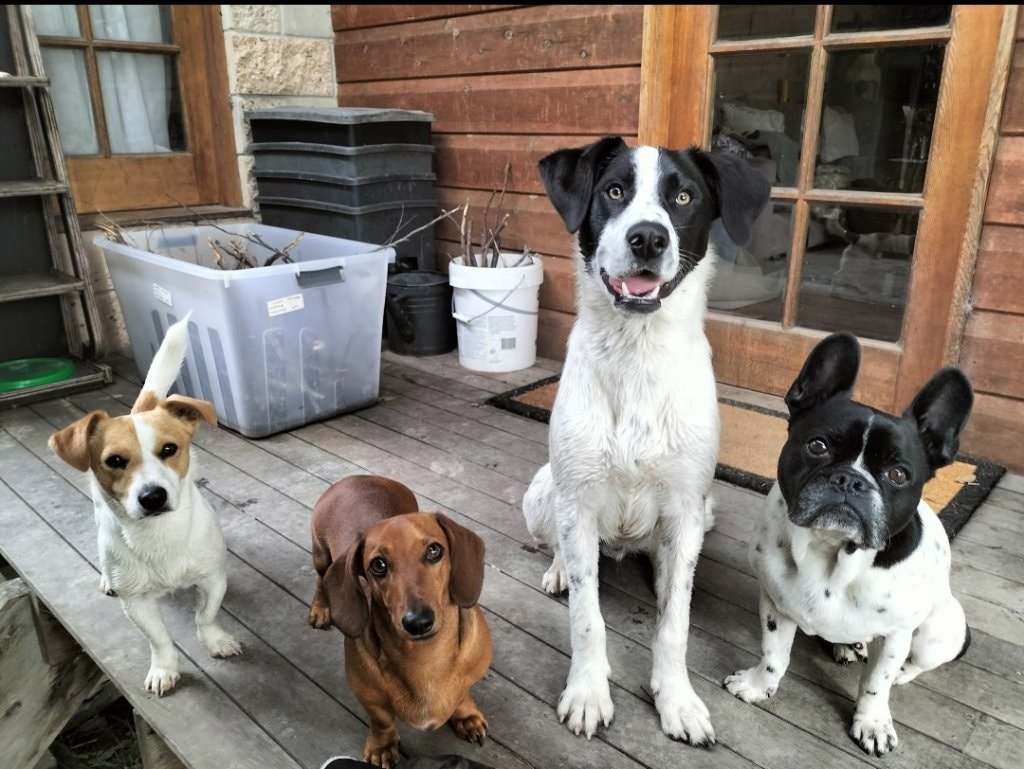 image-11