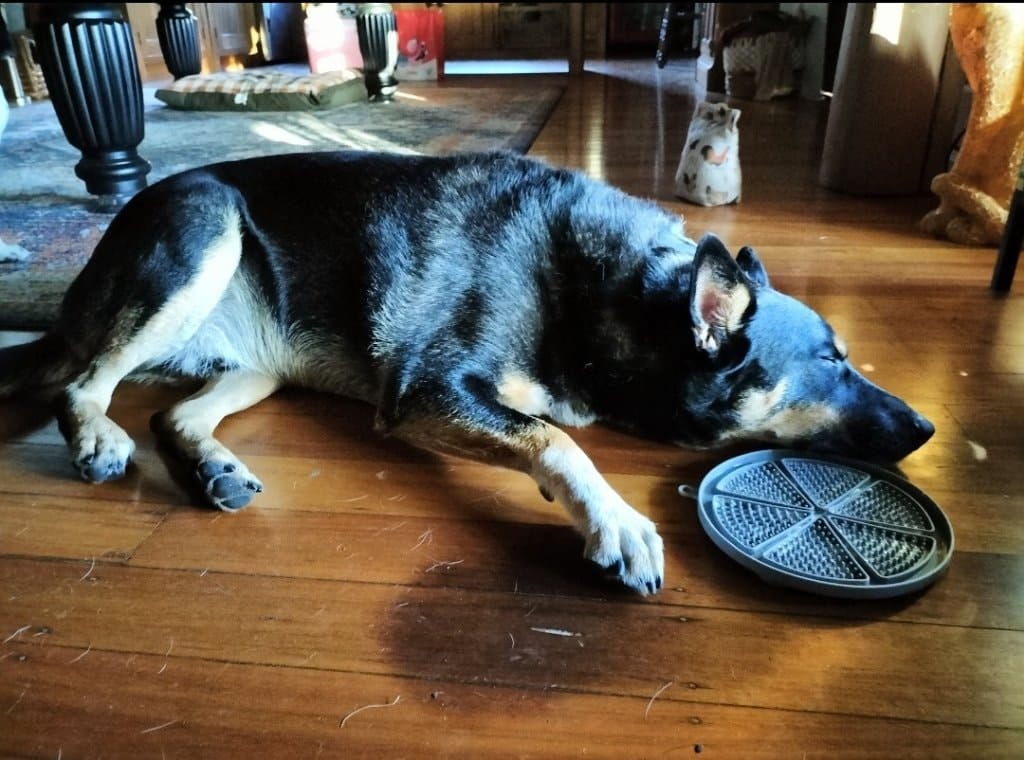image-14