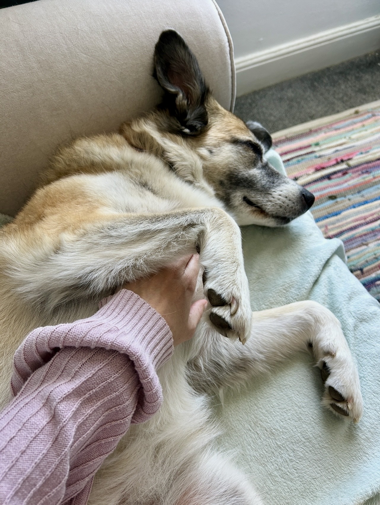 image-6