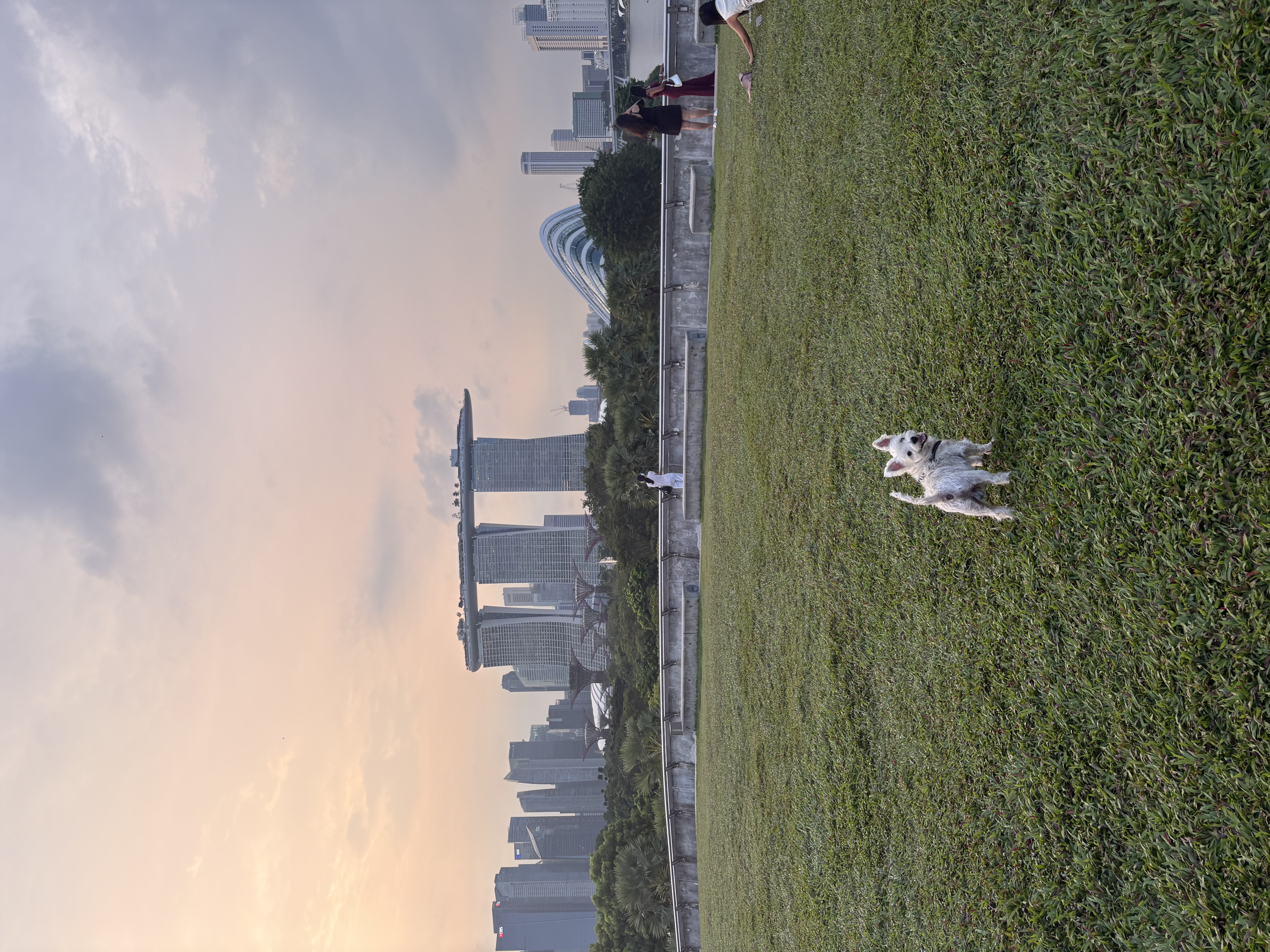 image-7