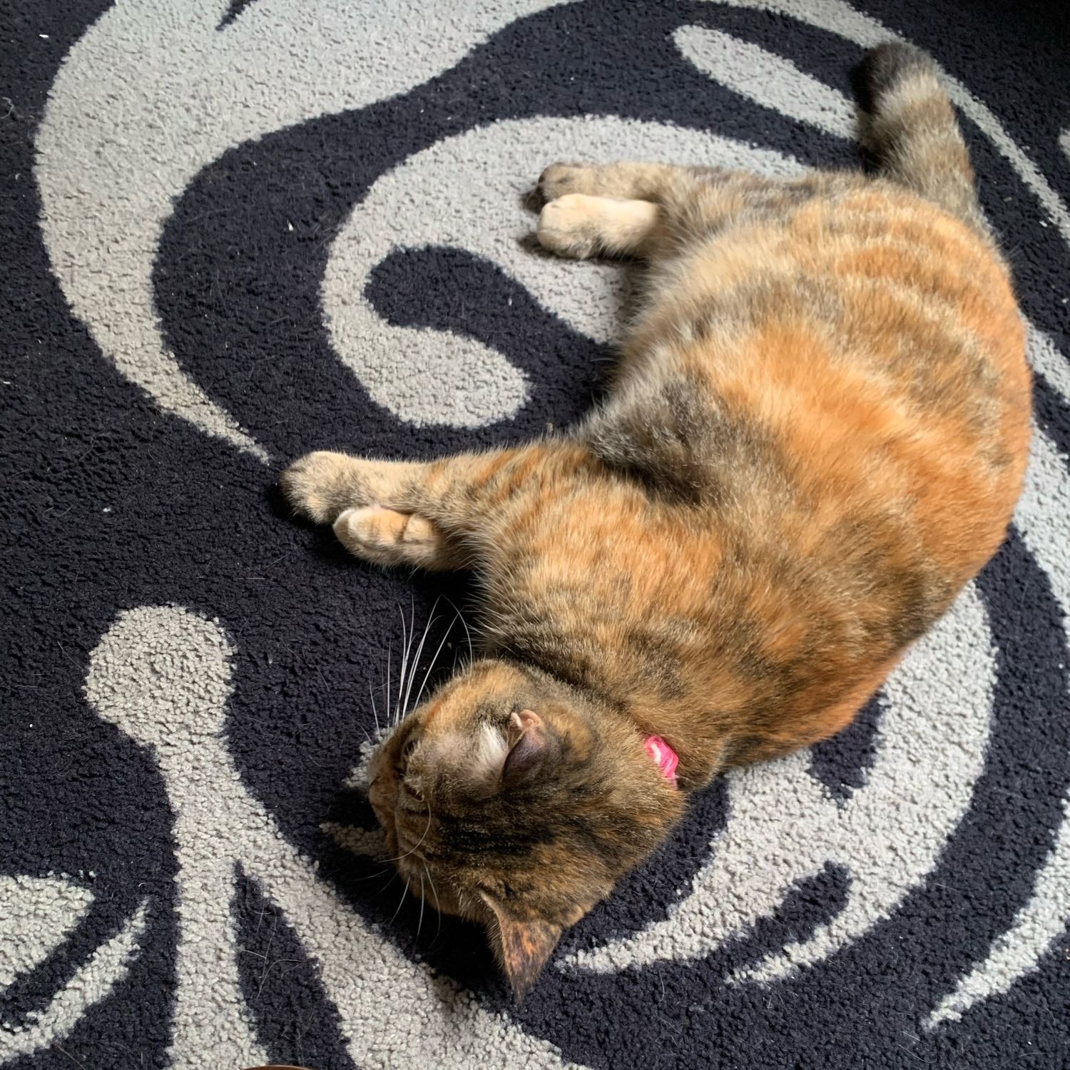 Coco