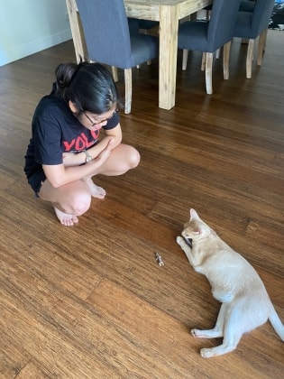image-11