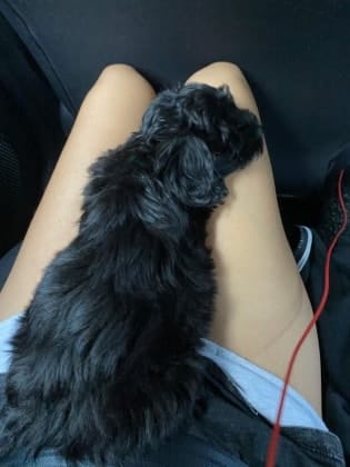 image-9