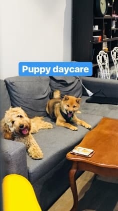 image-130