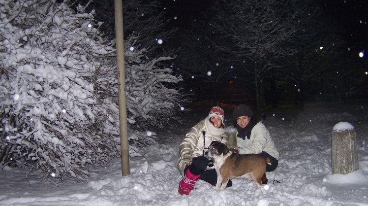 image-0