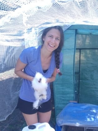 image-6