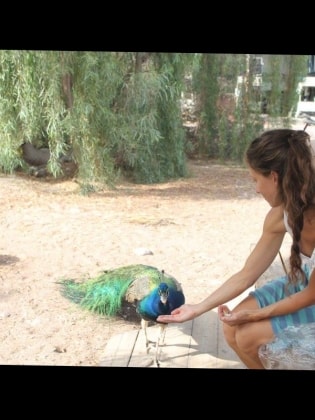 image-7