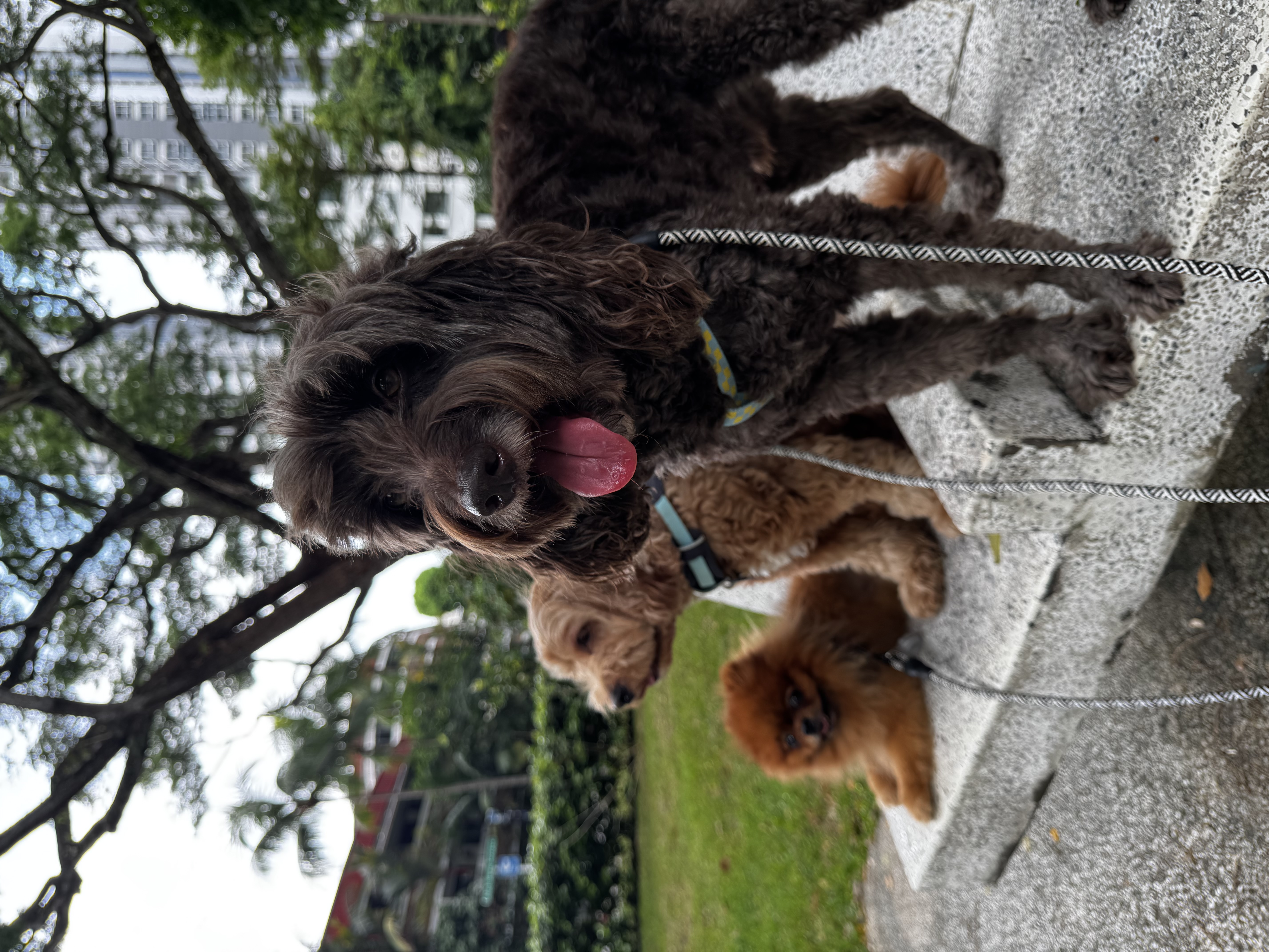 image-34