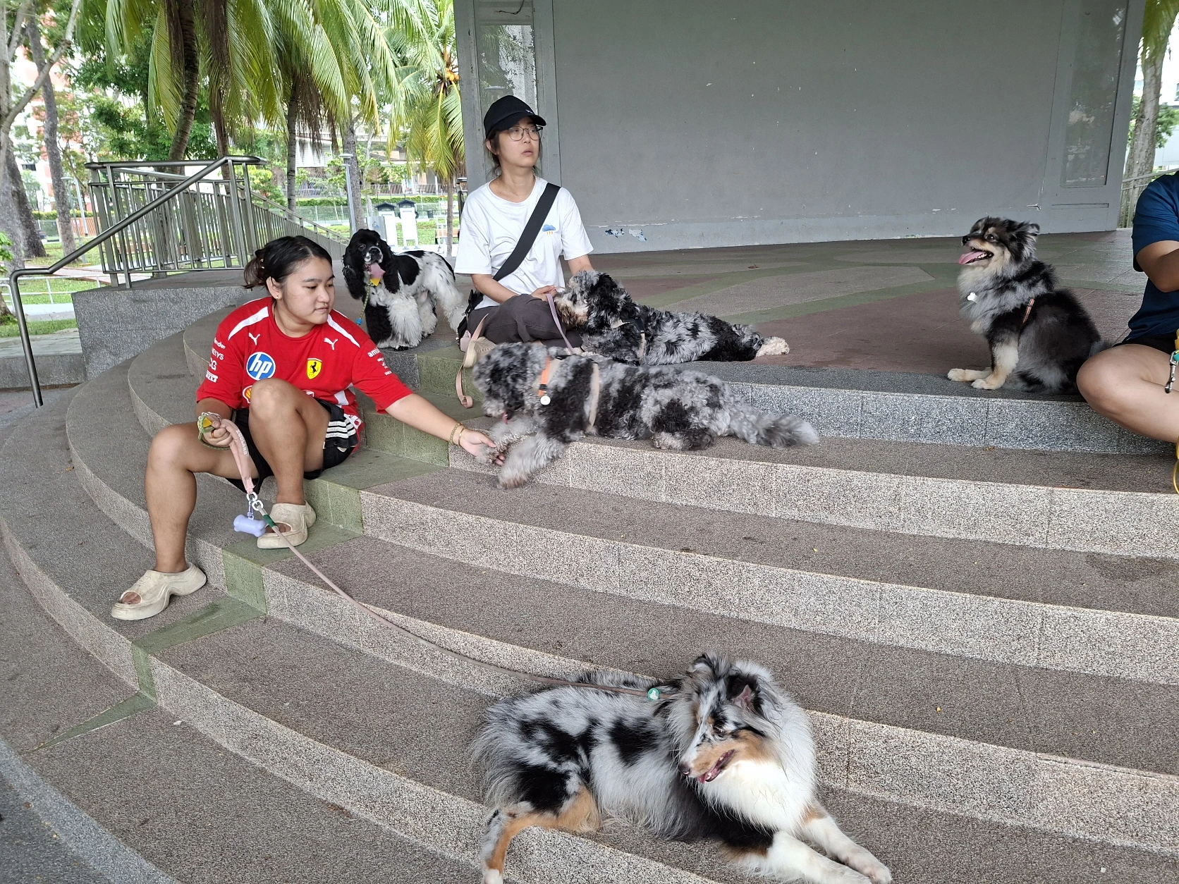image-18