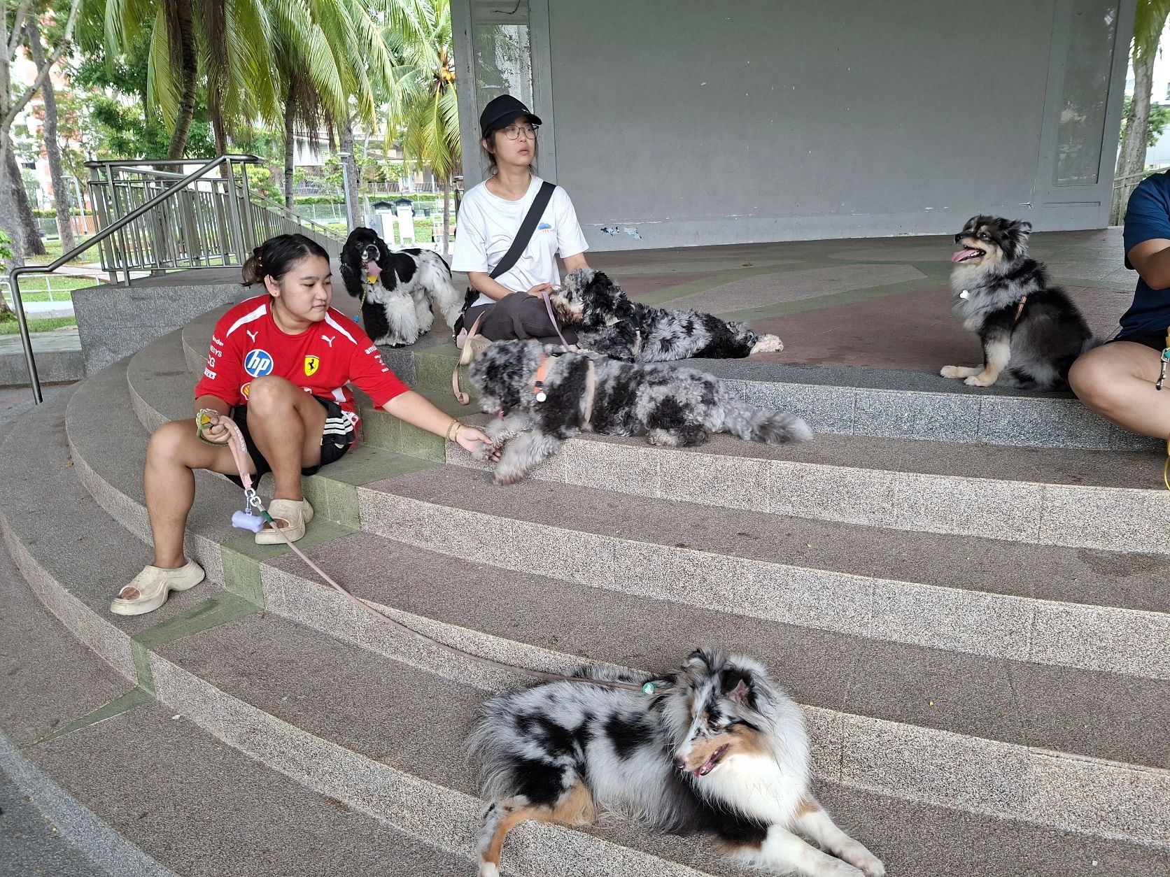 image-18