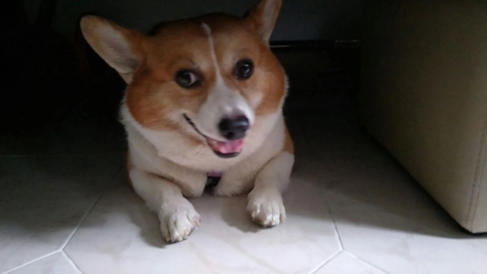 image-48