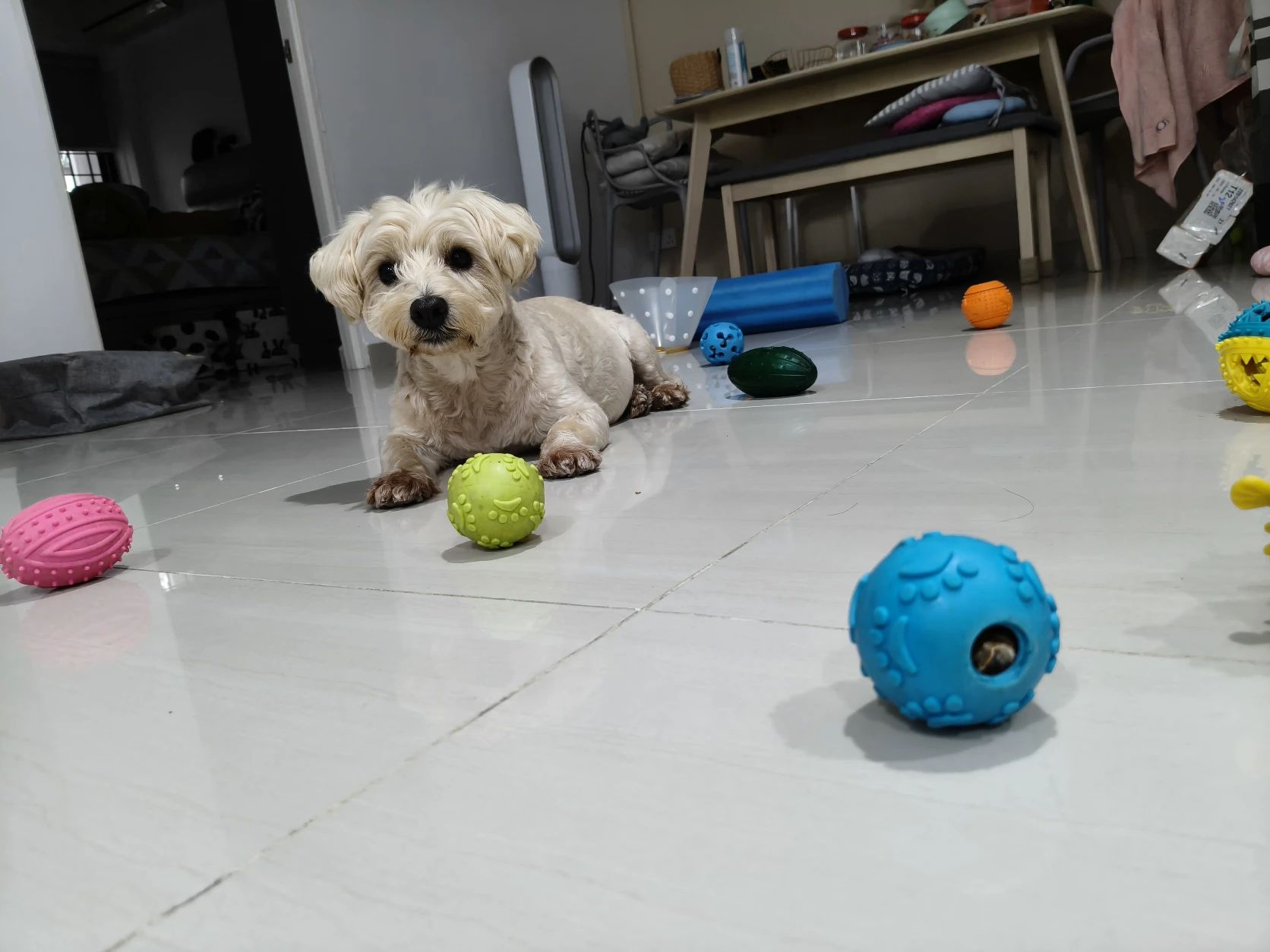 image-17