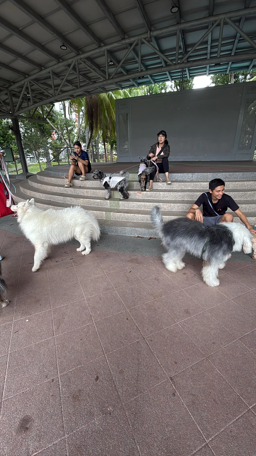image-28