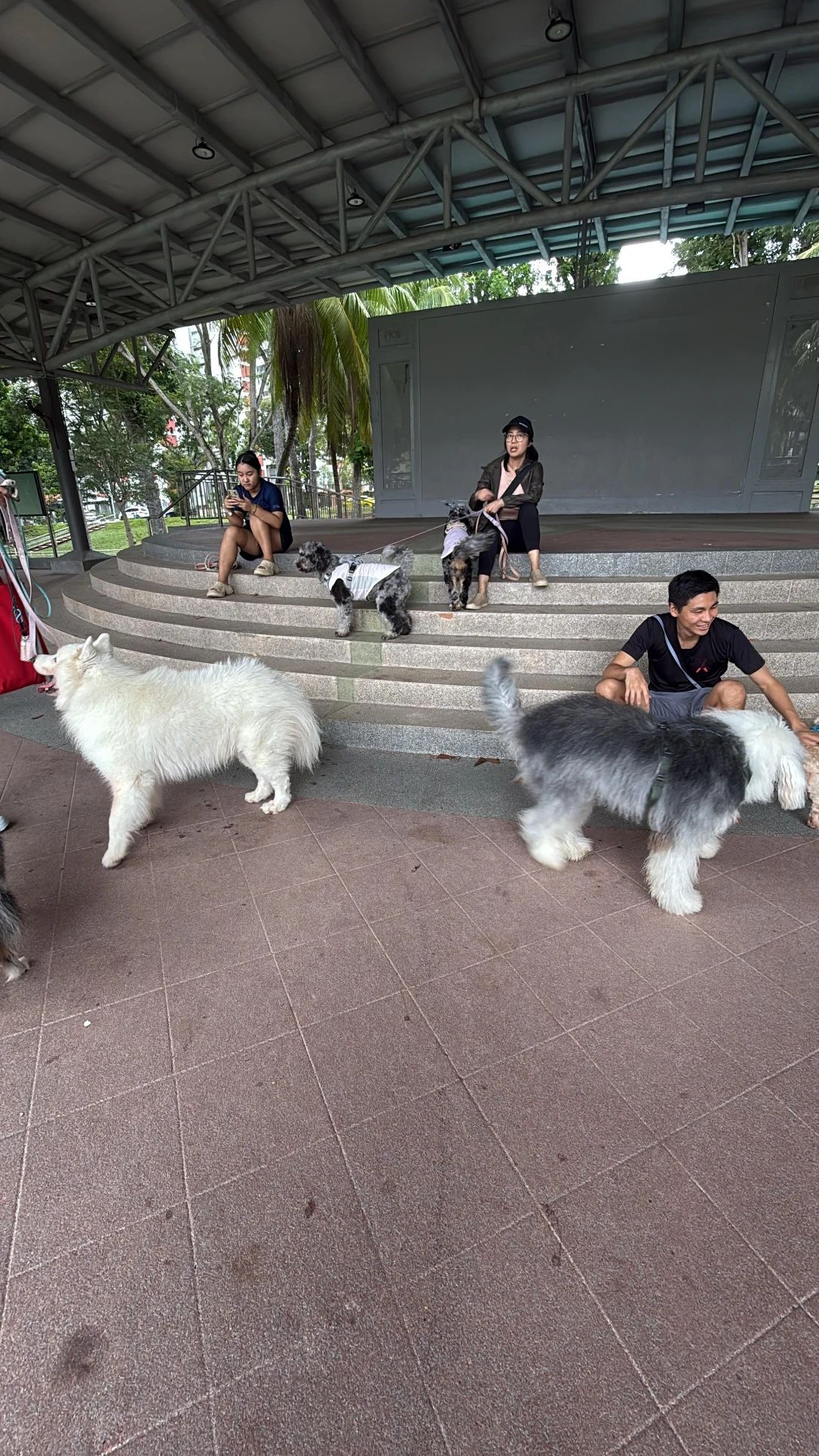 image-28