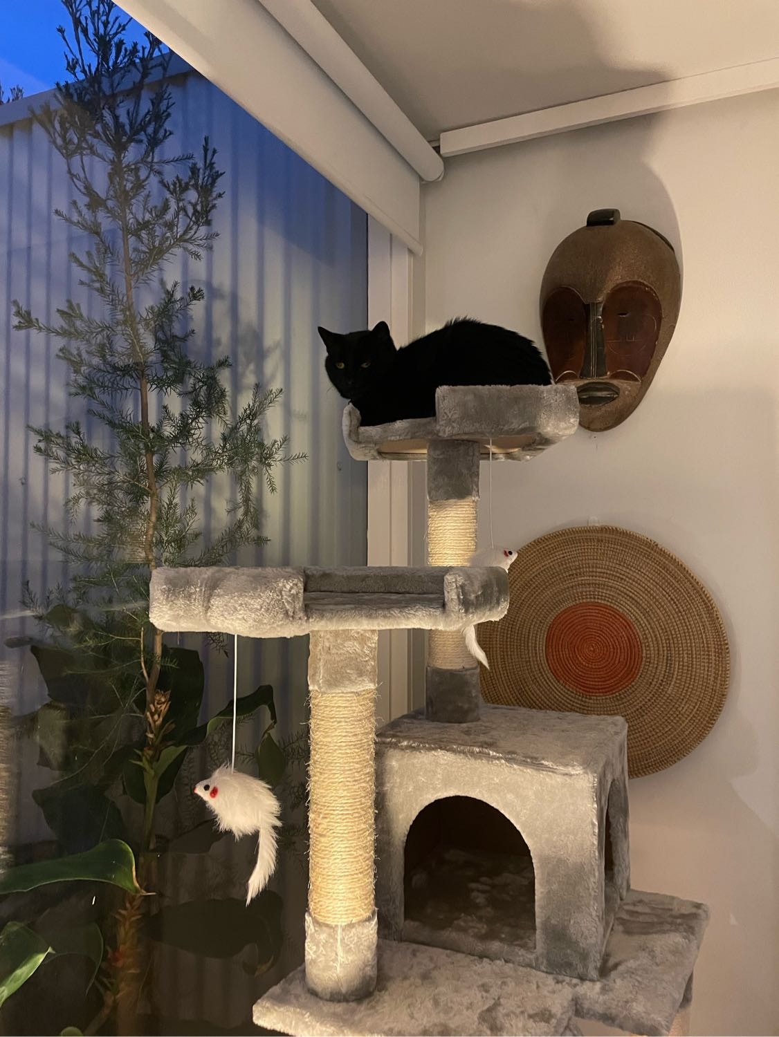 image-12