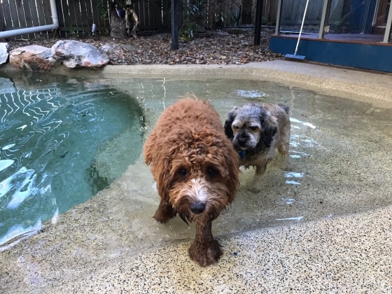 image-16