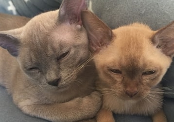 Max & leo