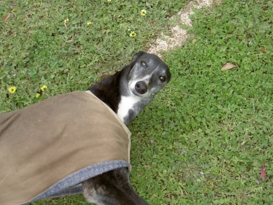 image-8