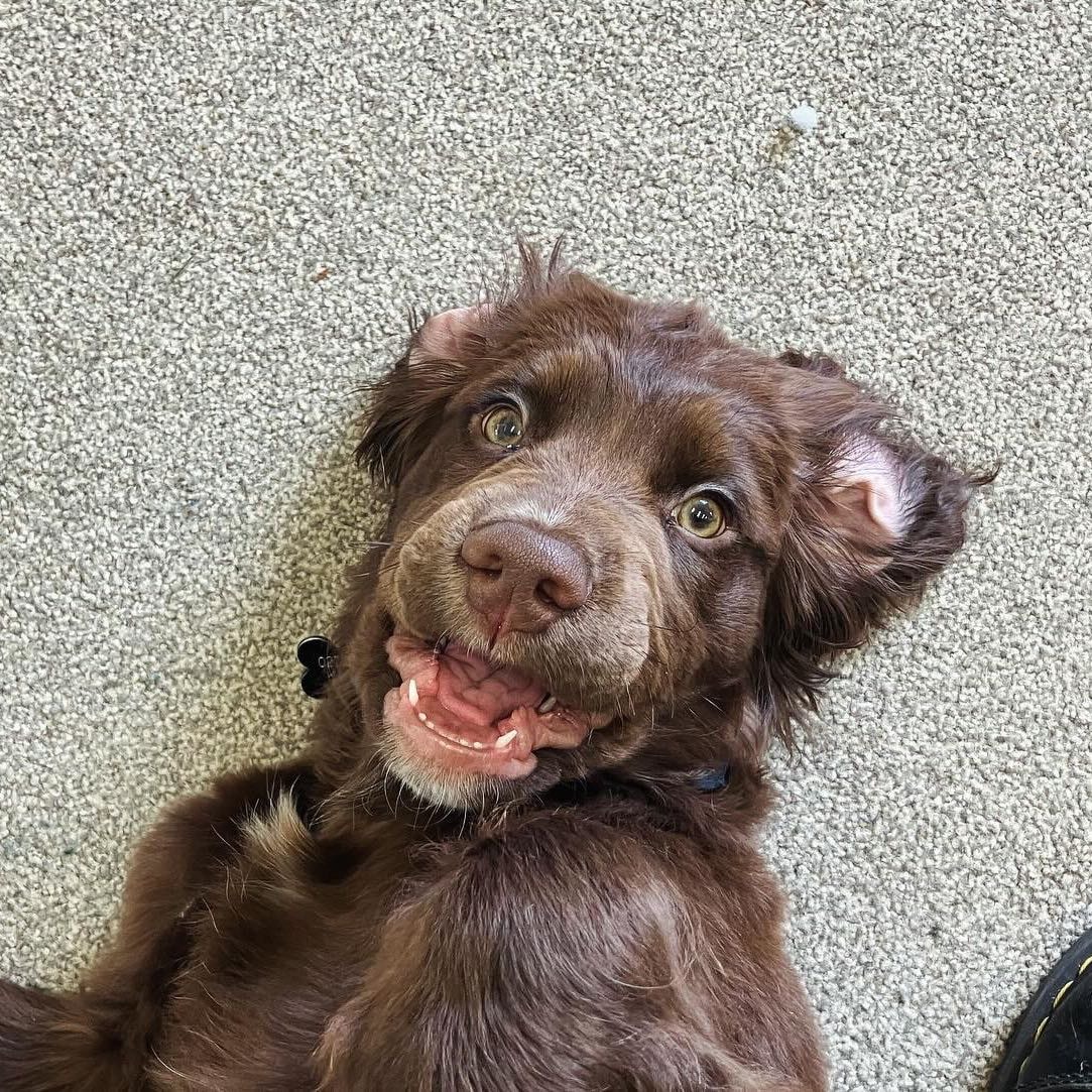Pablo