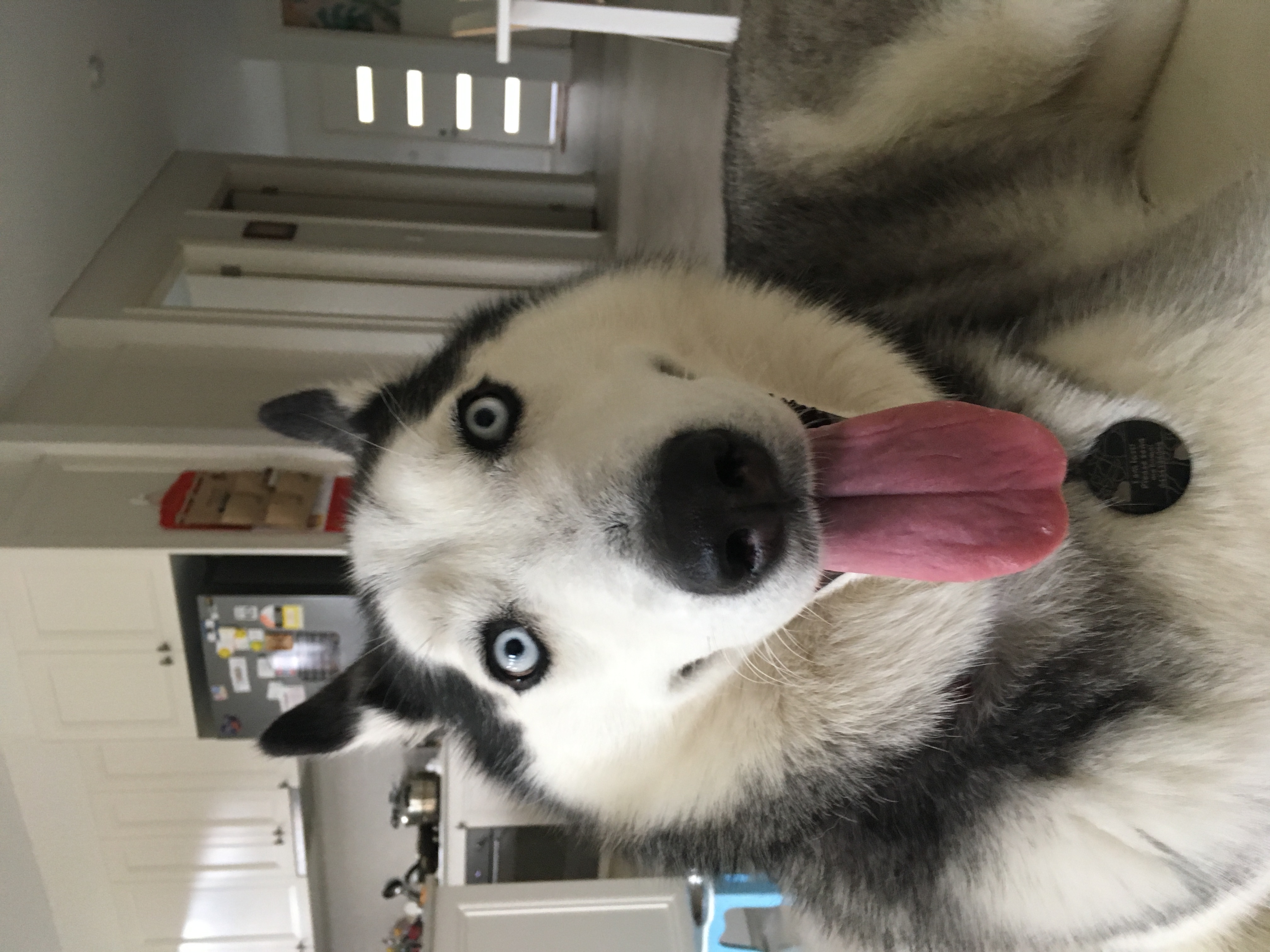 image-9