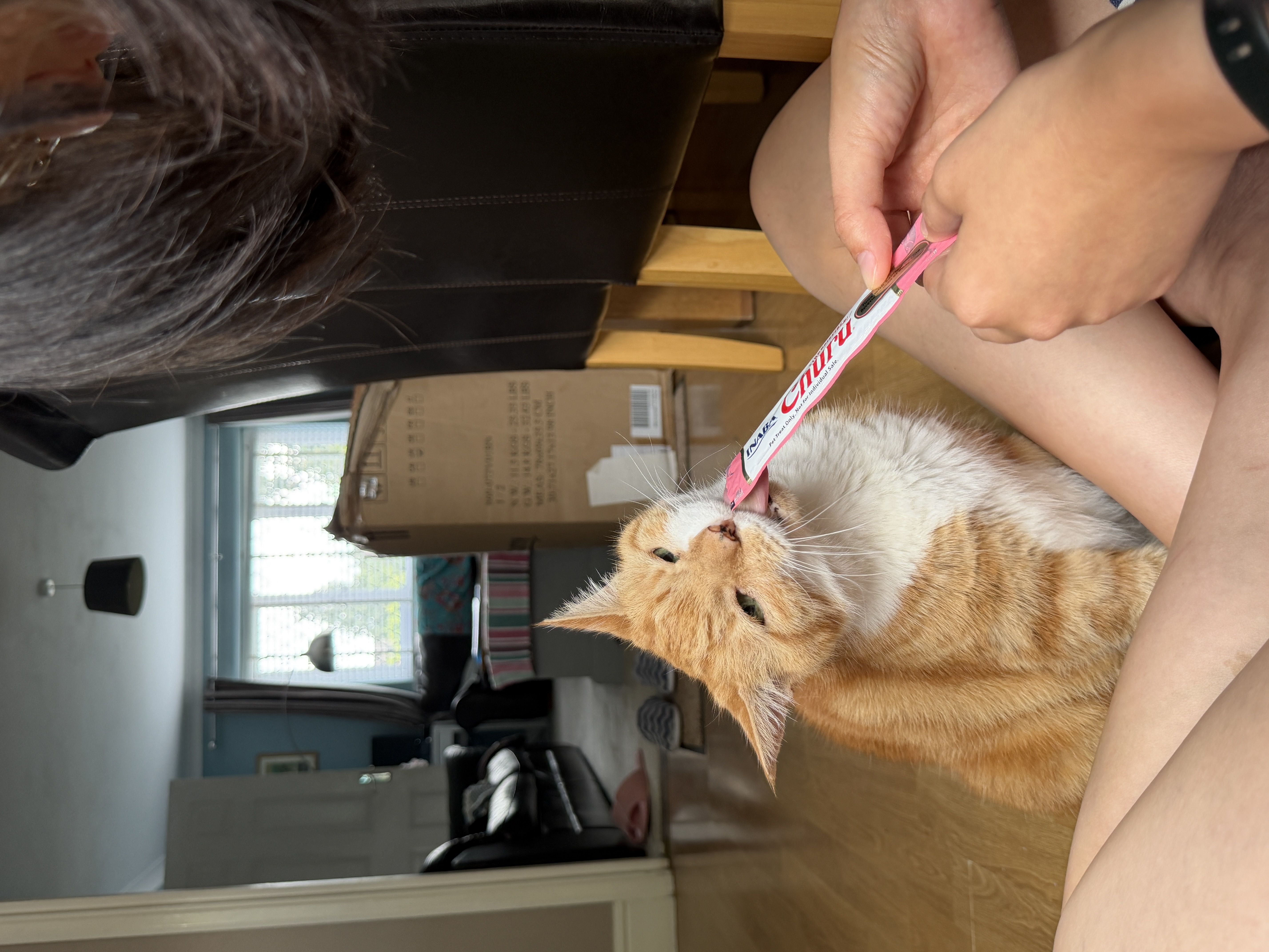 image-7