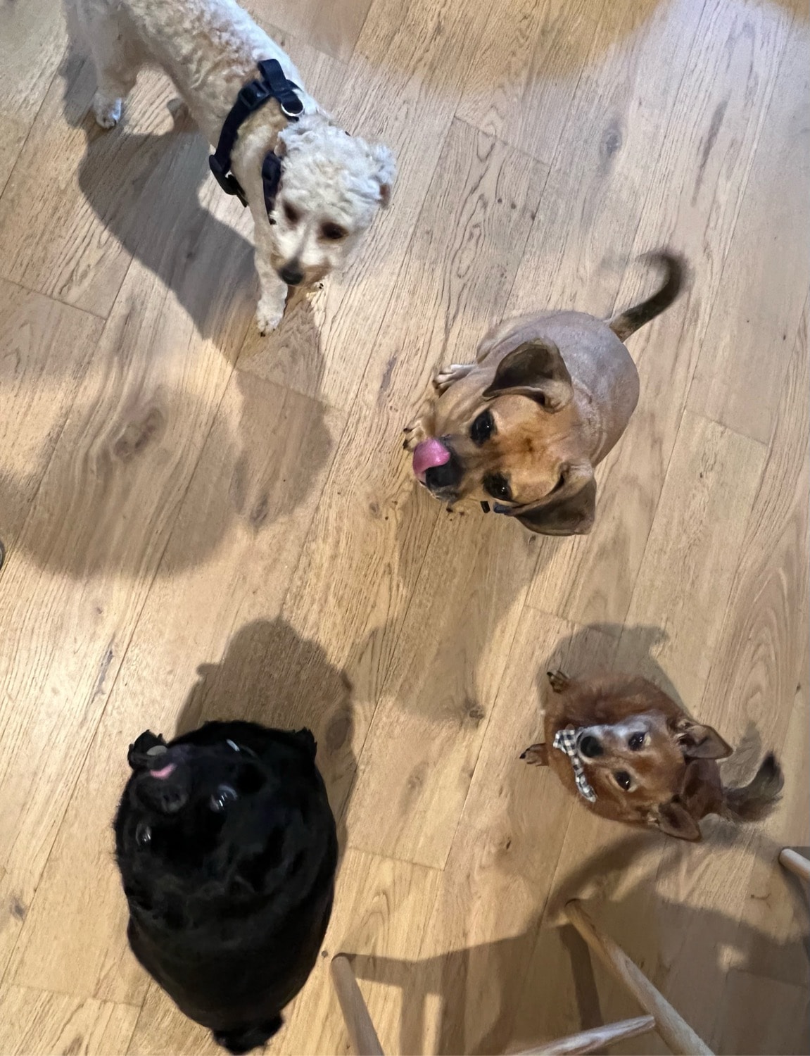 image-2