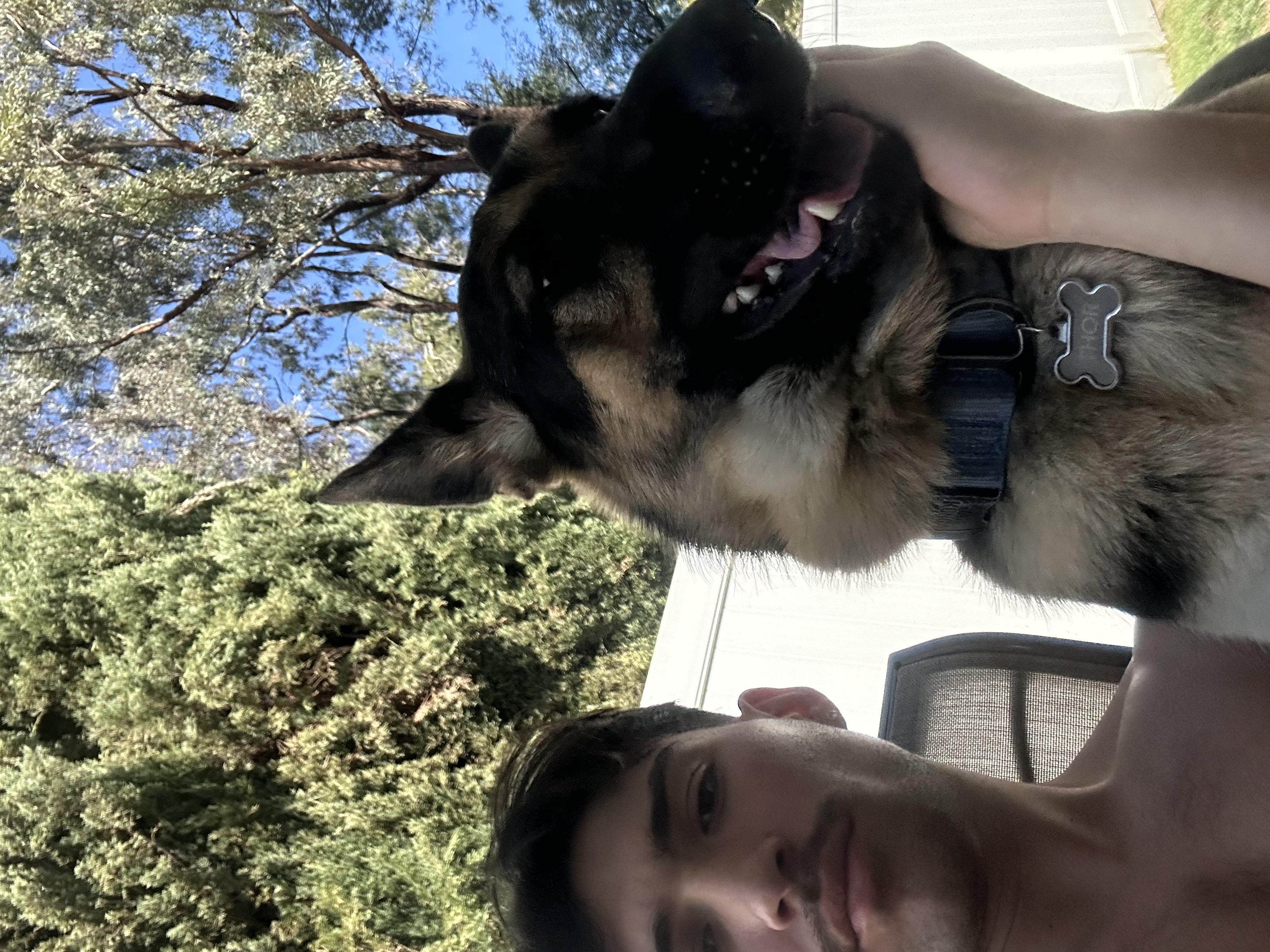 image-6