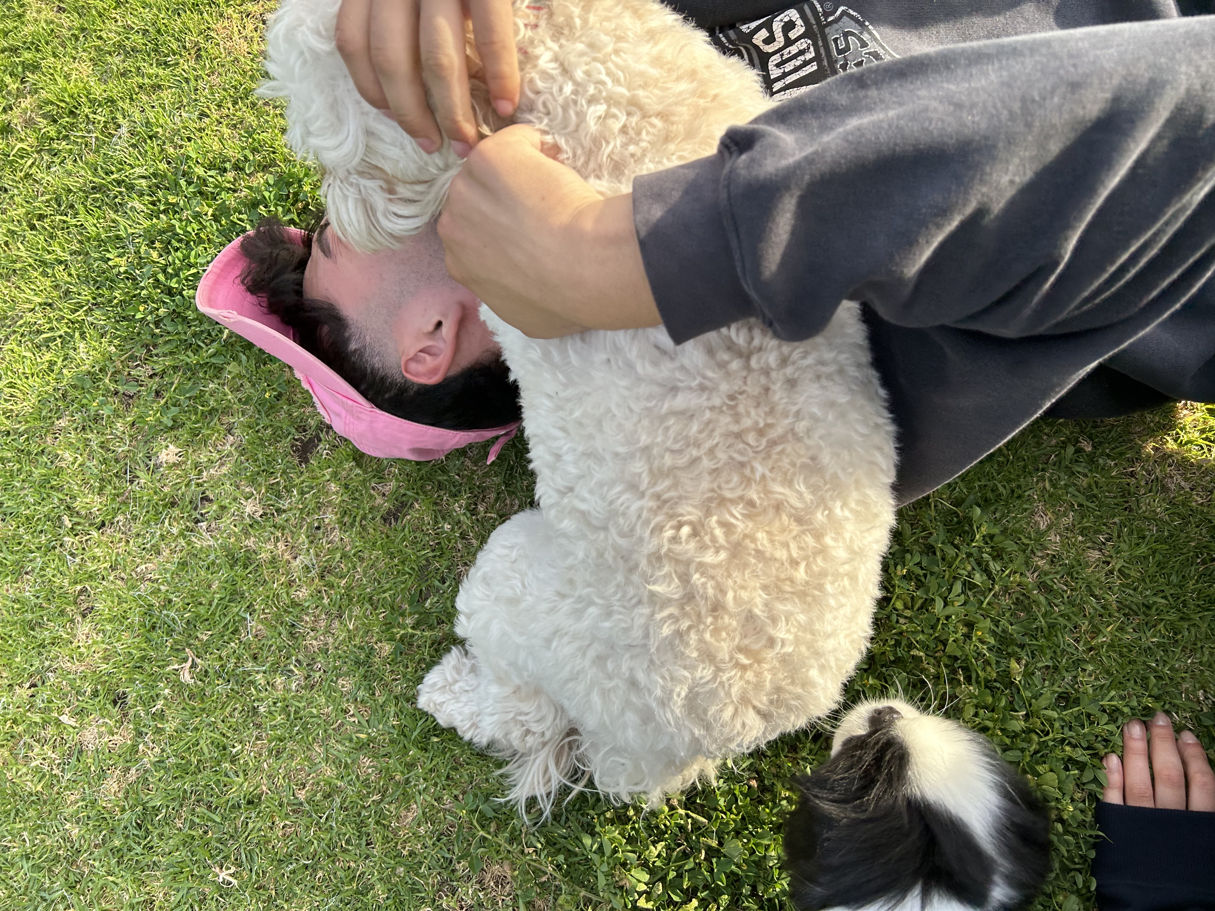 image-11