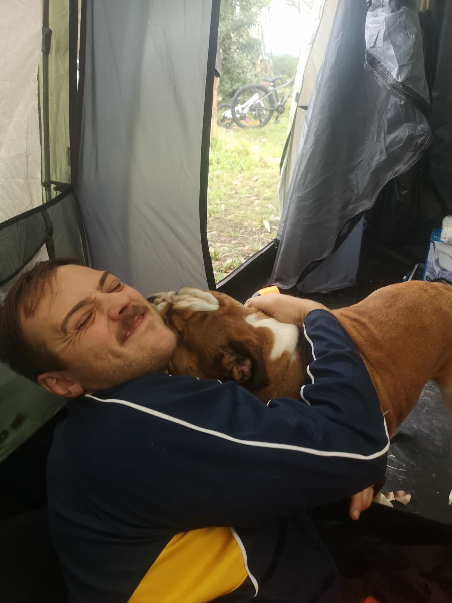 image-7