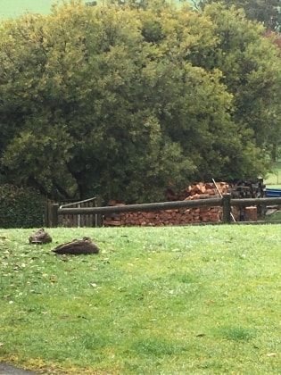 image-5
